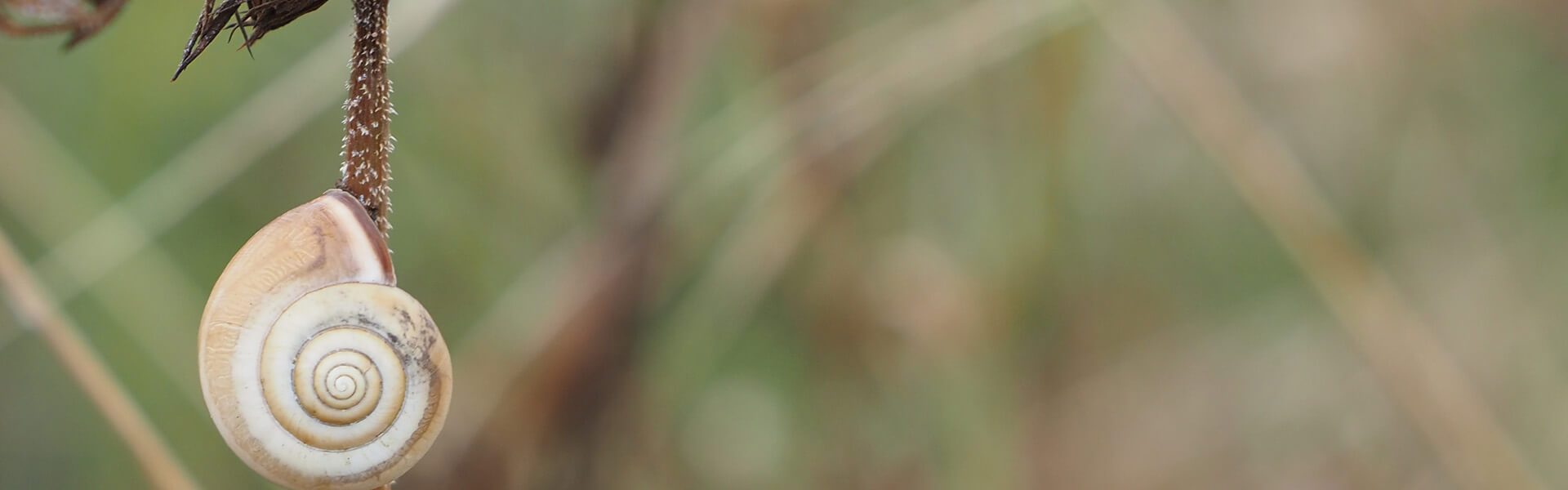 Heike Gutjahr - Datenschutz - Titel